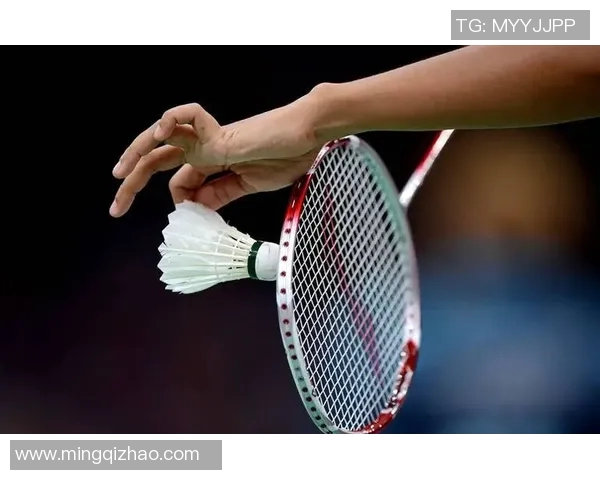 北京羽毛球队战术揭秘：包夹策略如何助力夺冠之路